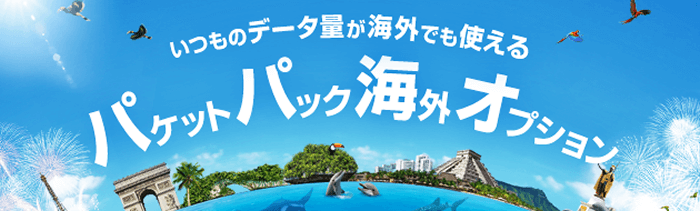 パケットパック海外オプション