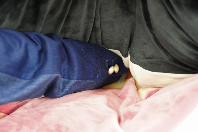 ねむねむ抱きまくら　ザップ