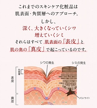 shinpist(シンピスト)口コミ評価＆＆評判まとめ！シワ改善＆シミ予防＆保湿のオールインワンジェル徹底検証レビュー シワ・シミが取れるしくみのまとめ