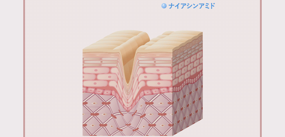 shinpist(シンピスト)口コミ評価＆＆評判まとめ！シワ改善＆シミ予防＆保湿のオールインワンジェル徹底検証レビュー シワは取れますか