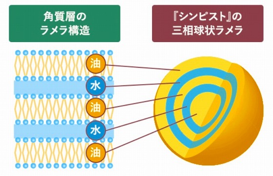 shinpist(シンピスト)口コミ評価＆＆評判まとめ！シワ改善＆シミ予防＆保湿のオールインワンジェル徹底検証レビュー 三相乳化法とはなんですか