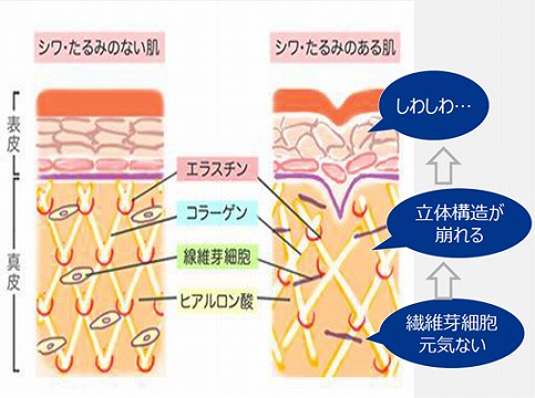 shinpist(シンピスト)口コミ評価＆＆評判まとめ！シワ改善＆シミ予防＆保湿のオールインワンジェル徹底検証レビュー シワは取れますか